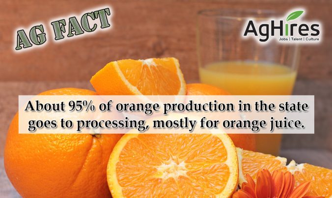 9-florida-ag-facts